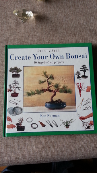 Create your own Bonsai