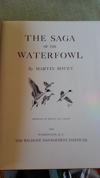 Martin Borey The Saga of the Waterfowl 140 Seiten